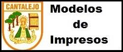 Imagen 2 Banner Modelos de Instancias.