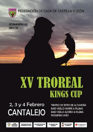 Imagen XV Troreal Kings Cup.