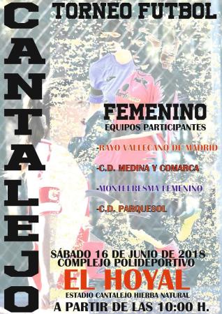 Imagen Torneo Futbol Femenino en Cantalejo.