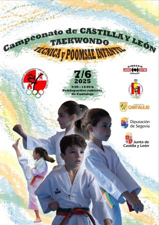 taekwondo