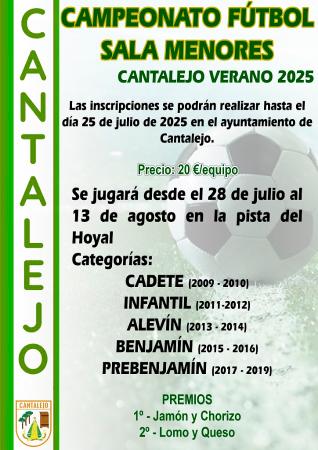 Imagen Campeonato Fútbol Sala Menores Verano 2025