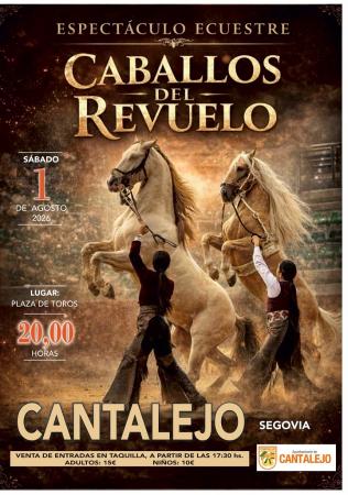 CABALLOS REVUELO
