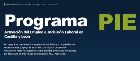 Imagen Programa Integral de Activación de Empleo e Inclusión Laboral en Castilla y León -PIE