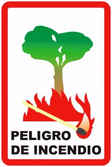 Imagen La Junta de Castilla y León ha declarado la situación de alerta por peligro meteorológico de...