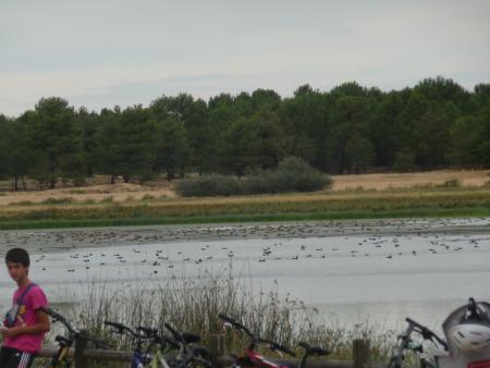 DIA DE LA BICICLETA 024