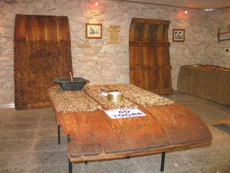 MUSEO TRILLO 4