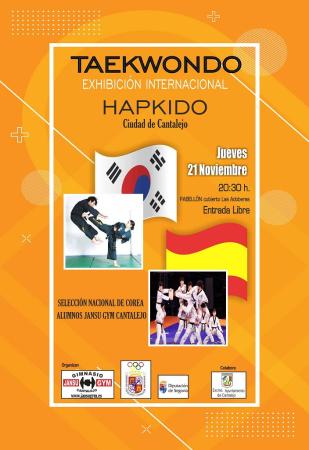 Imagen Taekwondo en Cantalejo