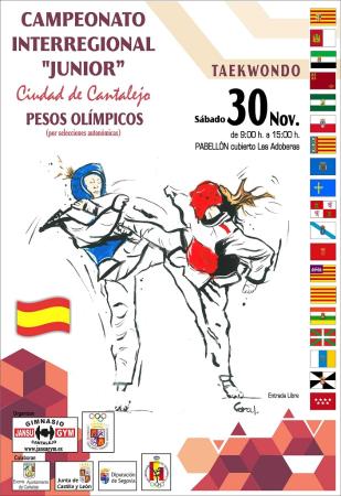 Imagen Campeonato Interregional Junior Taekwondo