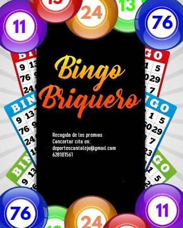 Imagen Premios de los Bingos Briqueros