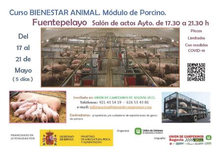 Imagen Curso de bienestar animal en Fuentepelayo y Sanchonuño