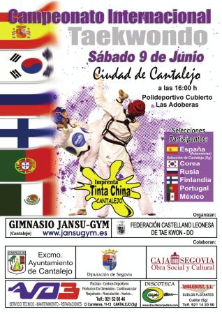 Imagen Campeonato Internacional Taewondo en Cantalejo