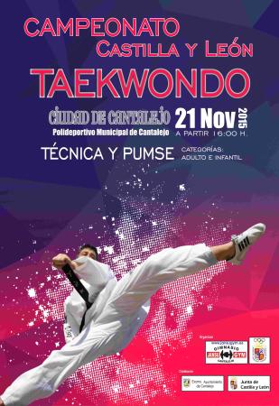 Imagen Campeonato Castilla y León de Taekwondo