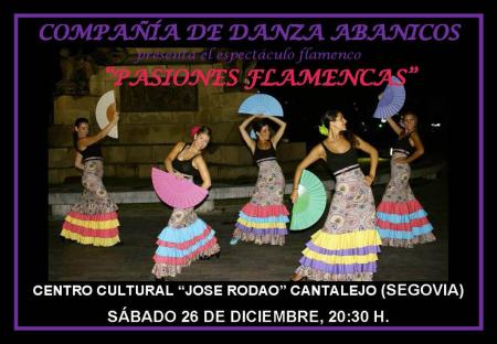 Imagen Pasiones Flamencas en Cantalejo