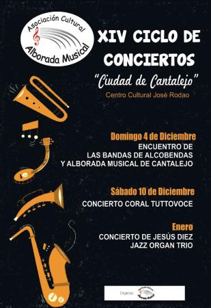 Imagen XIV Ciclo de Conciertos 