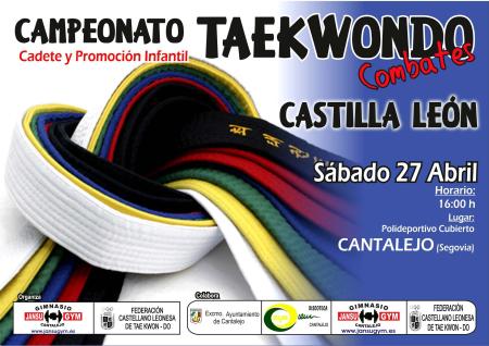 Imagen Campeonato de Taekwondo de Castilla y León 2013