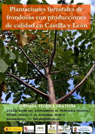 Imagen Jornada sobre plantaciones forestales de frondosas en Muñoveros.