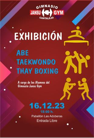 Exhibición de ABE, TAEKWONDO Y TAHY BOXING