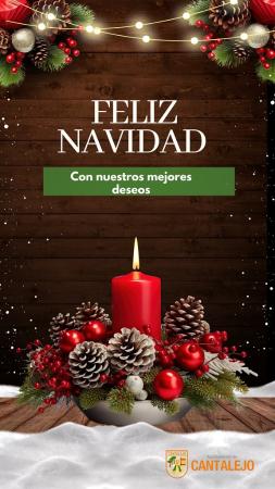 Imagen El Ayuntamiento de Cantalejo os desea una Feliz Navidad