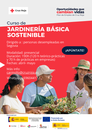 Imagen Cursos de Cruz Roja Segovia