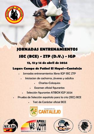 Imagen Jornadas entrenamiento canino