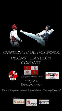 Imagen Campeonato de Taekwondo de Castilla y León Combate