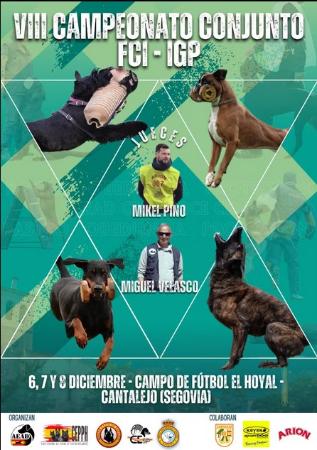 VIII CAMPEONATO CONJUNTO FCI-IGP