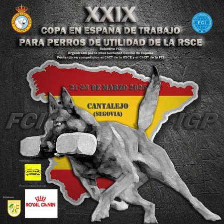 Imagen Copa en España de trabajo para perros de utilidad de la RSCE